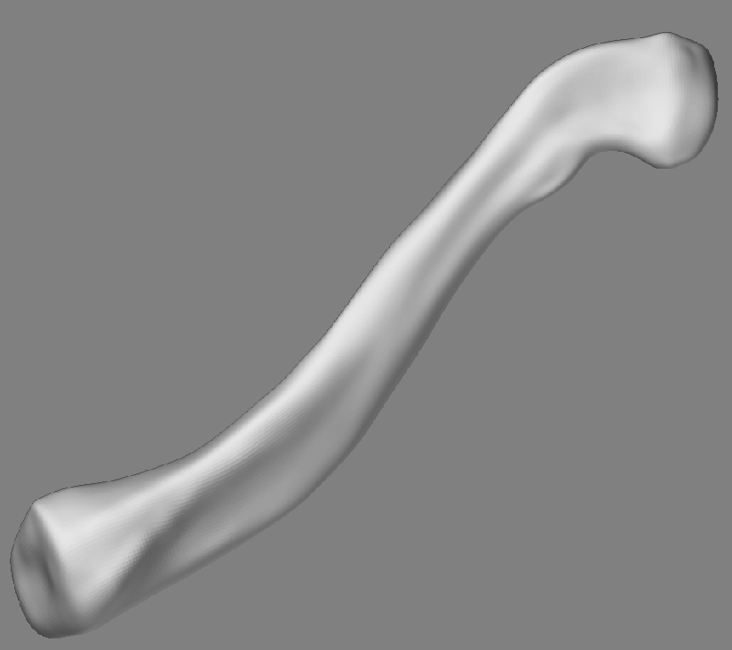 Clavicle_Top_01.jpg