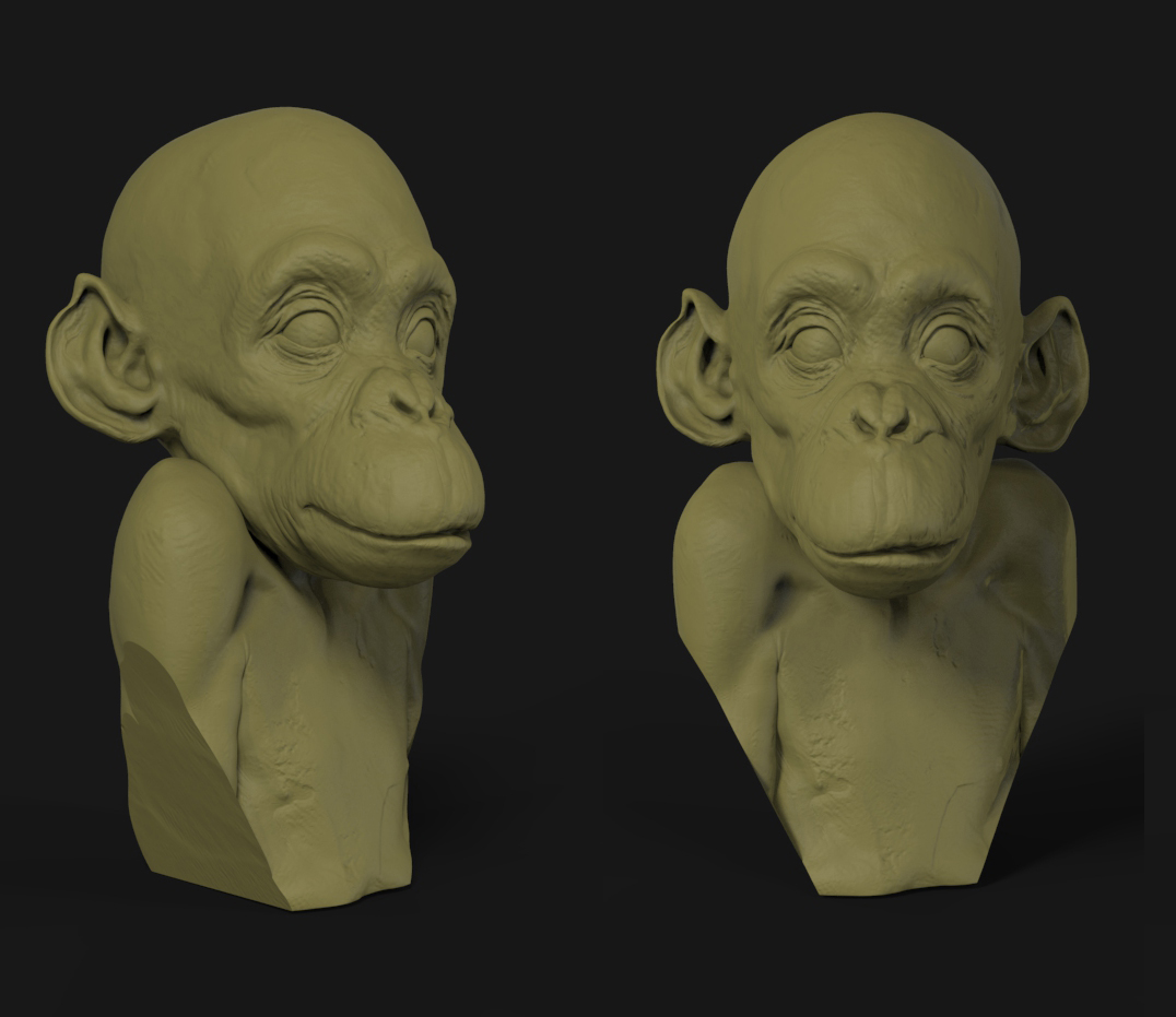monkey.jpg
