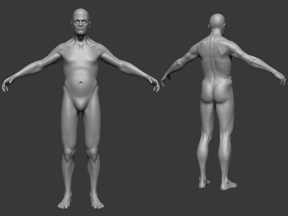 wip3.jpg