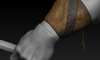 Rexxar_Progress_41a.jpg