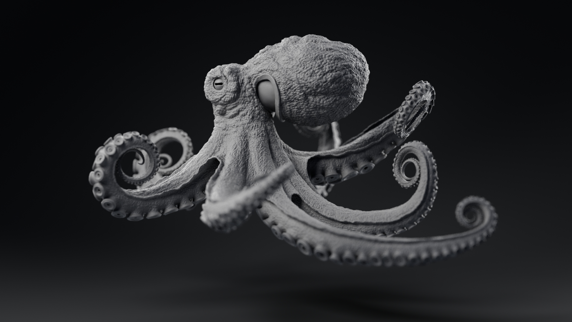 Octopus_model_TurntableFrames_Grey_ZbrushCentral_v021_0032.jpg