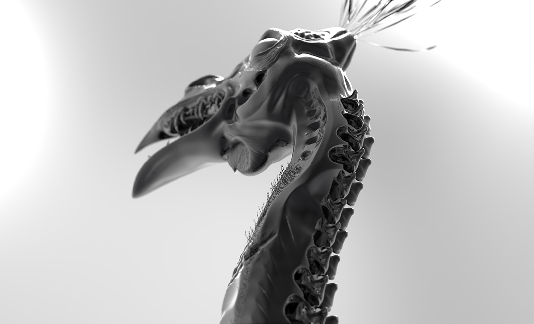 DANGERCHICKEN_LOWANGLE_smaller.jpg