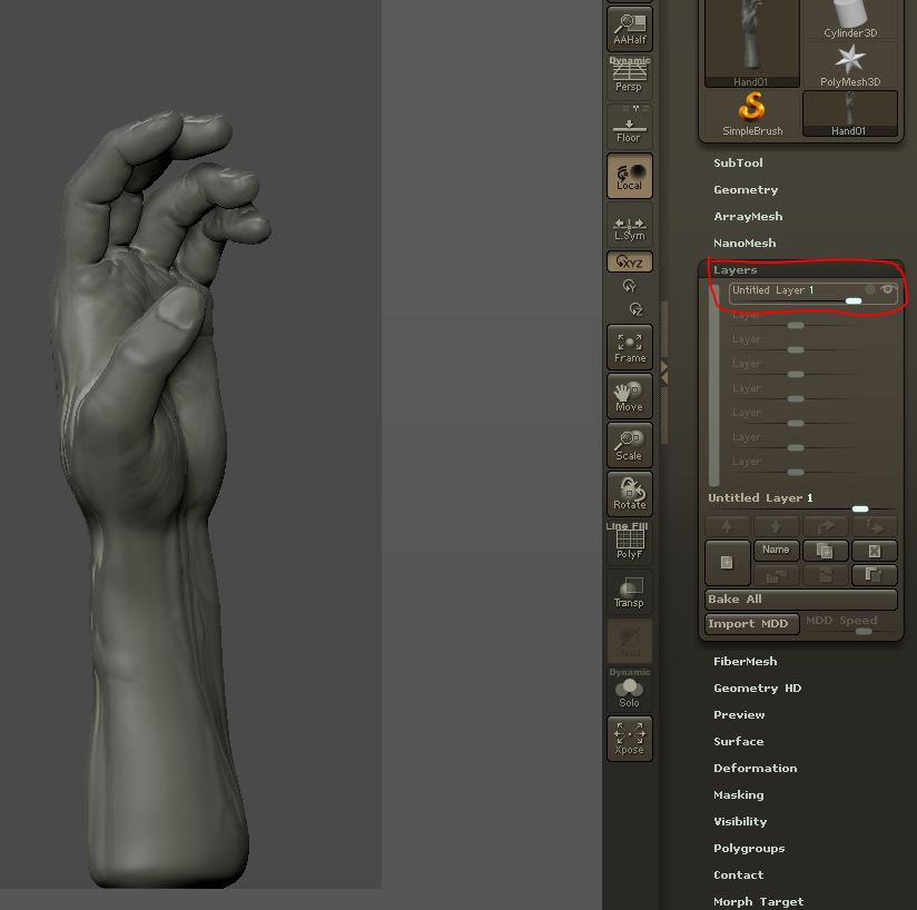 Hand01.JPG