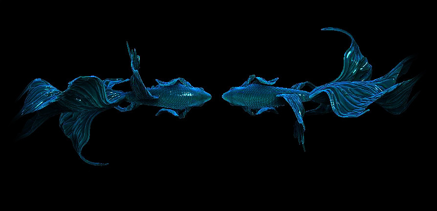 allan-johnson-bangera-fighterfish4.jpg