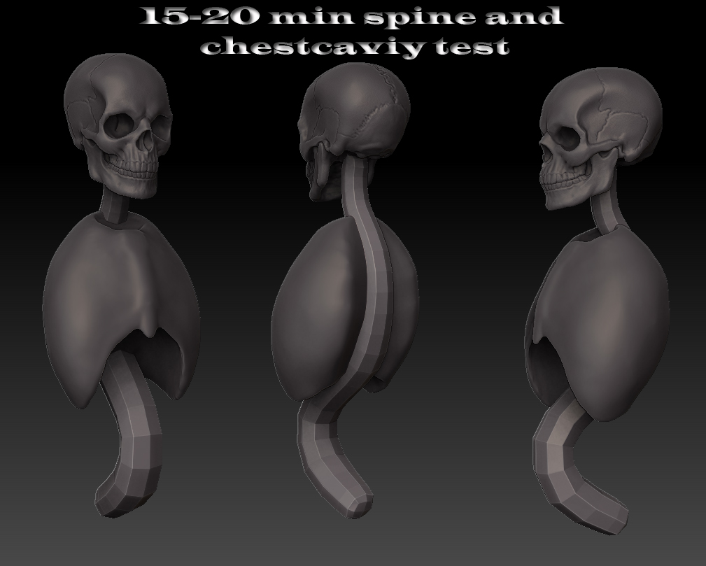 skeletonquicktest.jpg