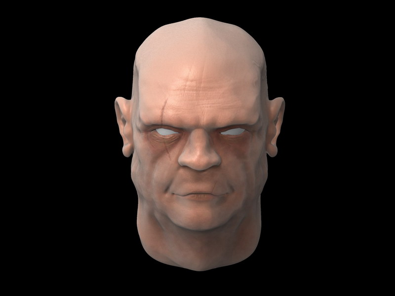 Head_800x600.jpg