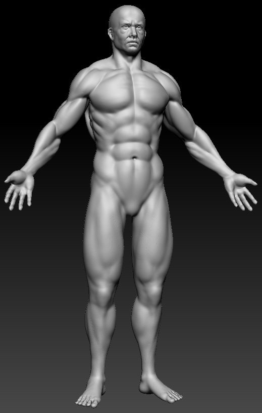anatomy-skin-update.JPG