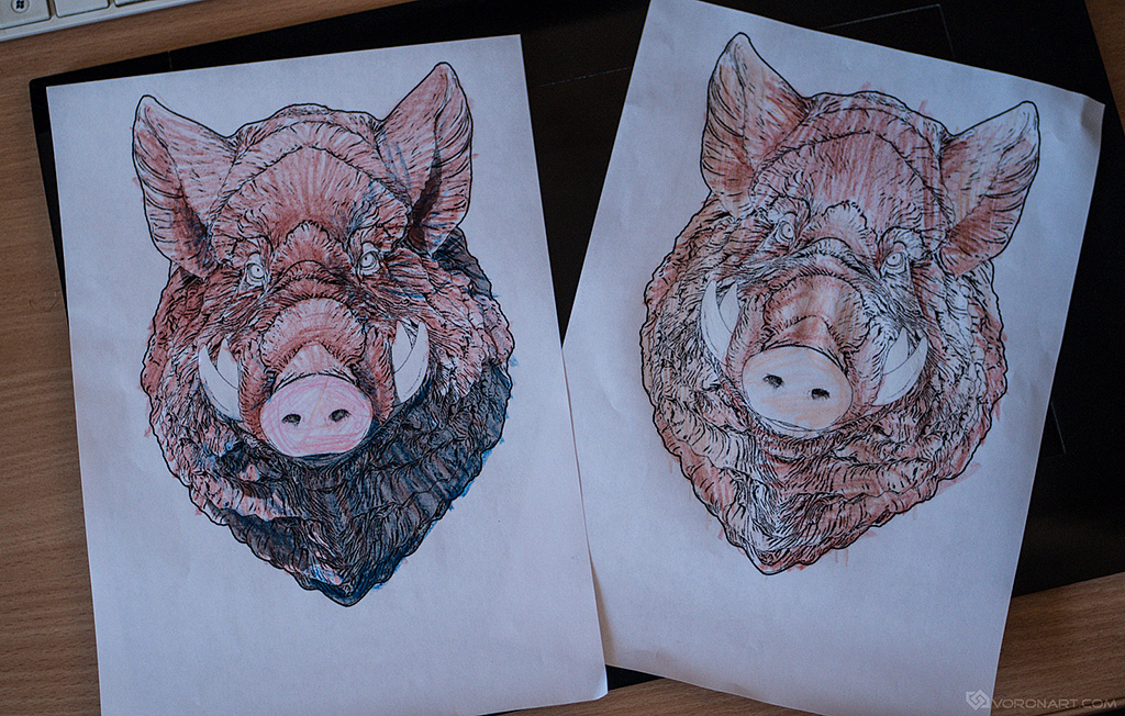 wild-boar-coloring-page-from-3d-sculpt-02.jpg