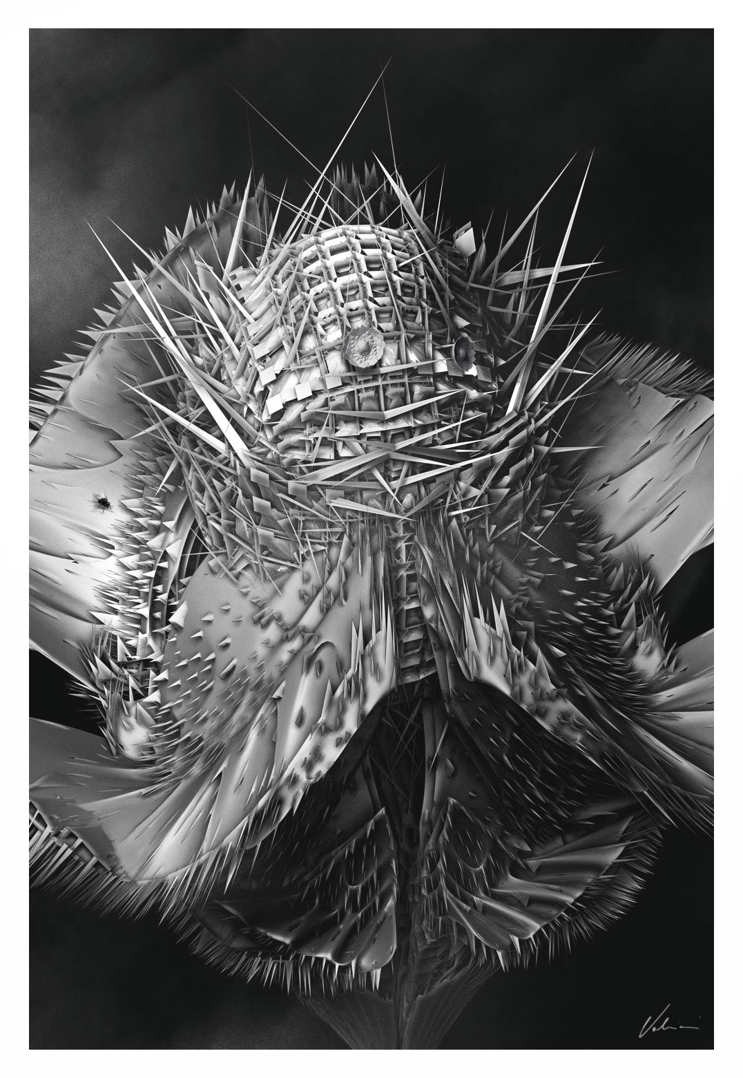 FRACTAL_FLOWER_VI.jpg