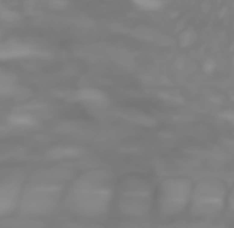 20190403_160033.png