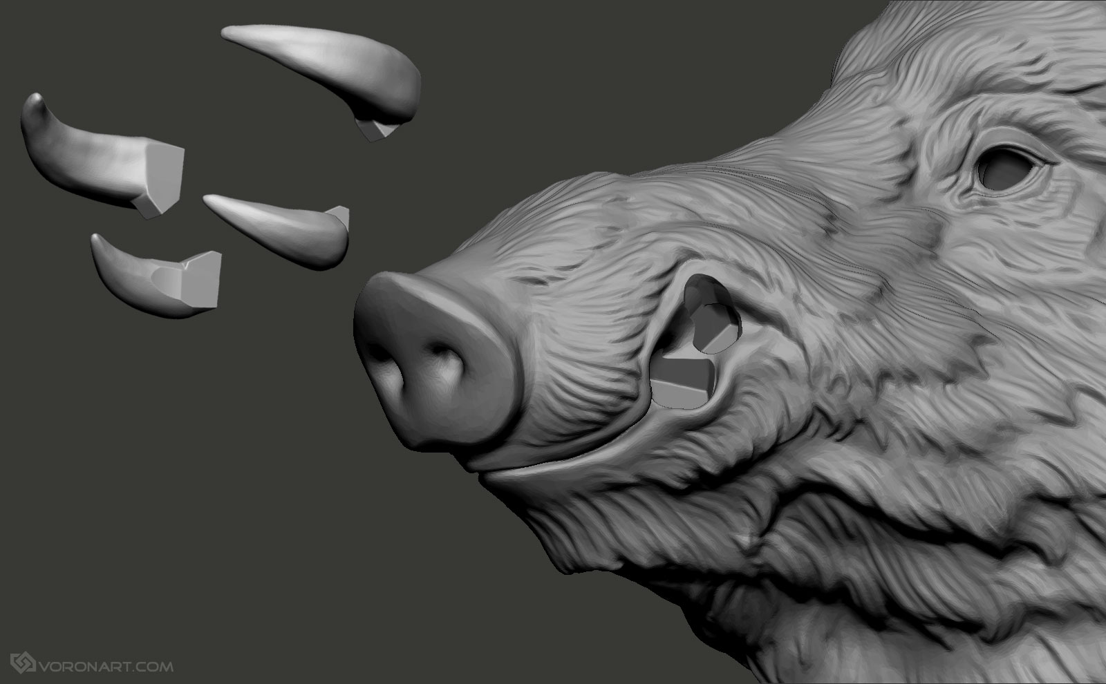 wild-boar-head-digital-sculpture-zbrush-03.jpg