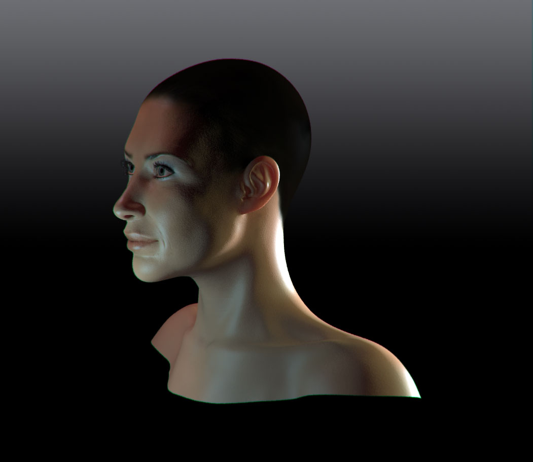 femhead-render05.jpg