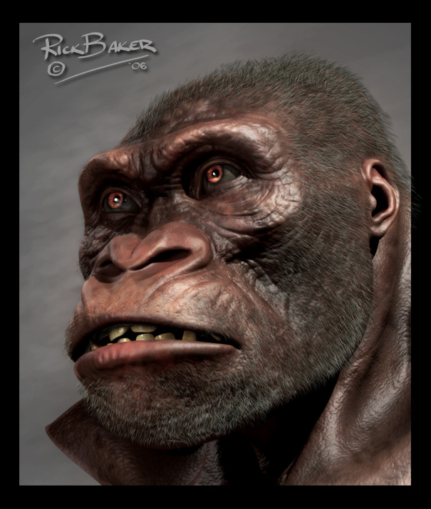 ape29color.jpg