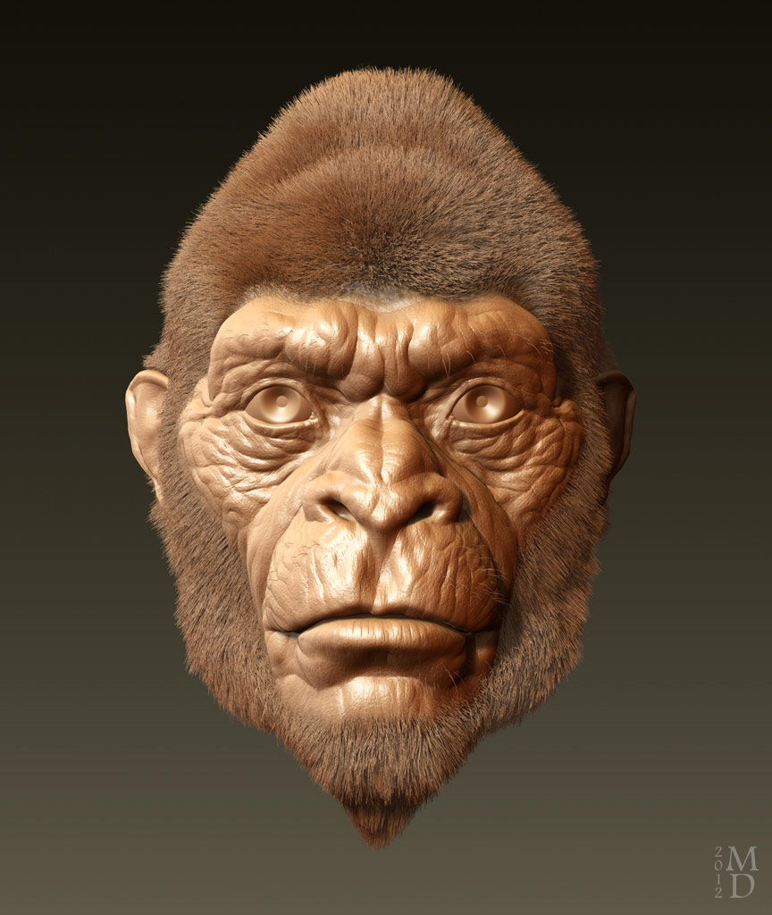 ape2.jpg