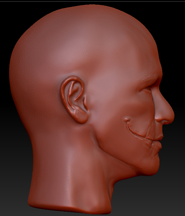 WIP_Side02.jpg
