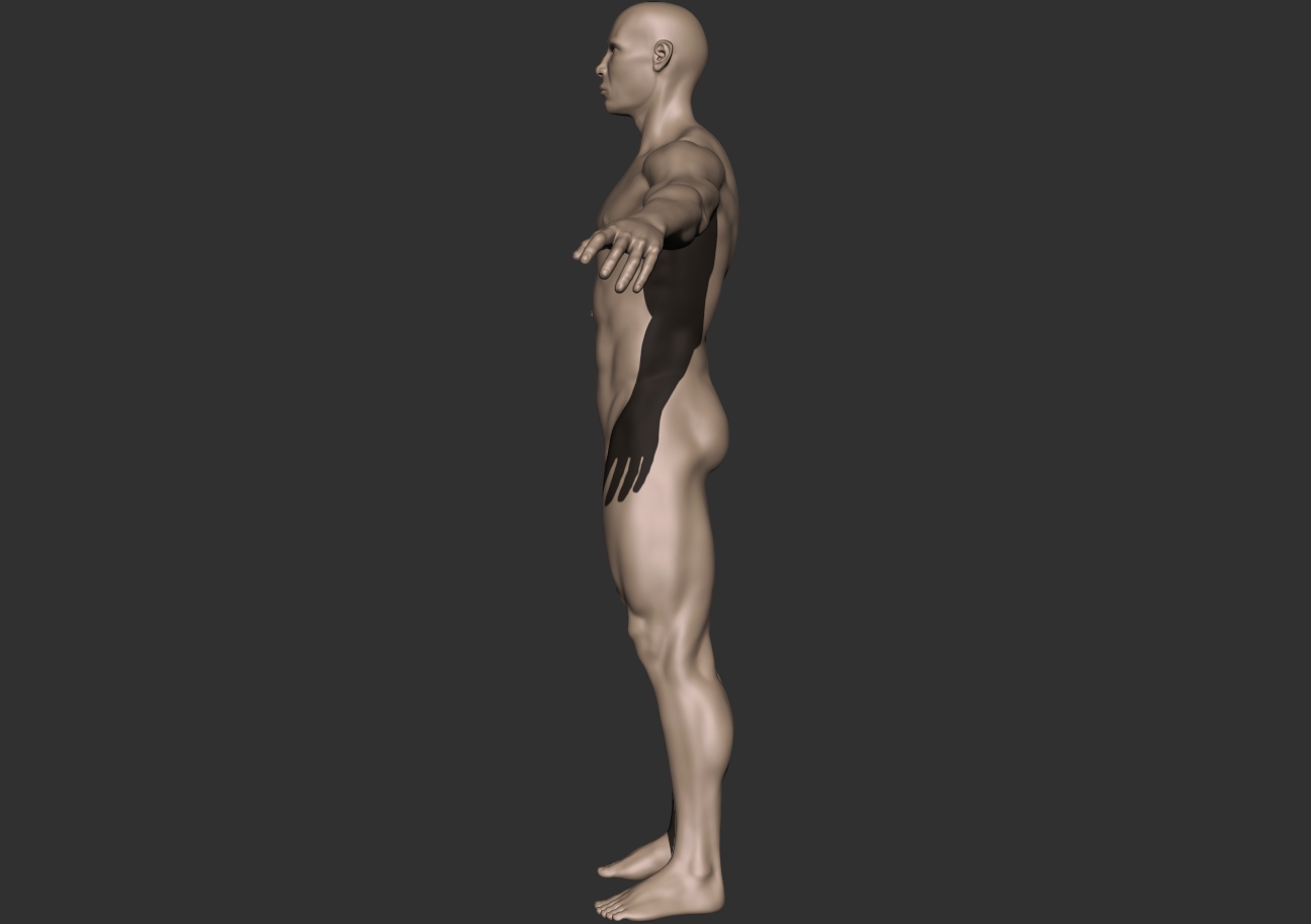 bodybuilder_profile.jpg