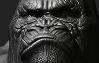 thumb.jpg