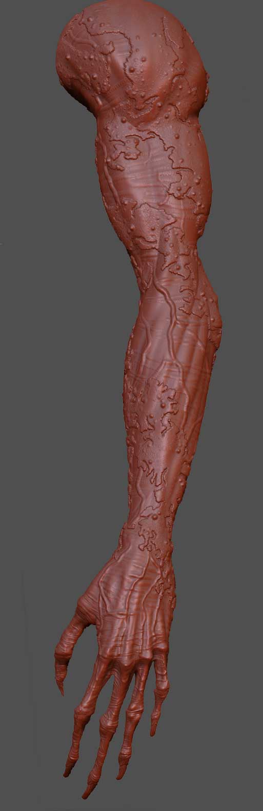 arm.jpg
