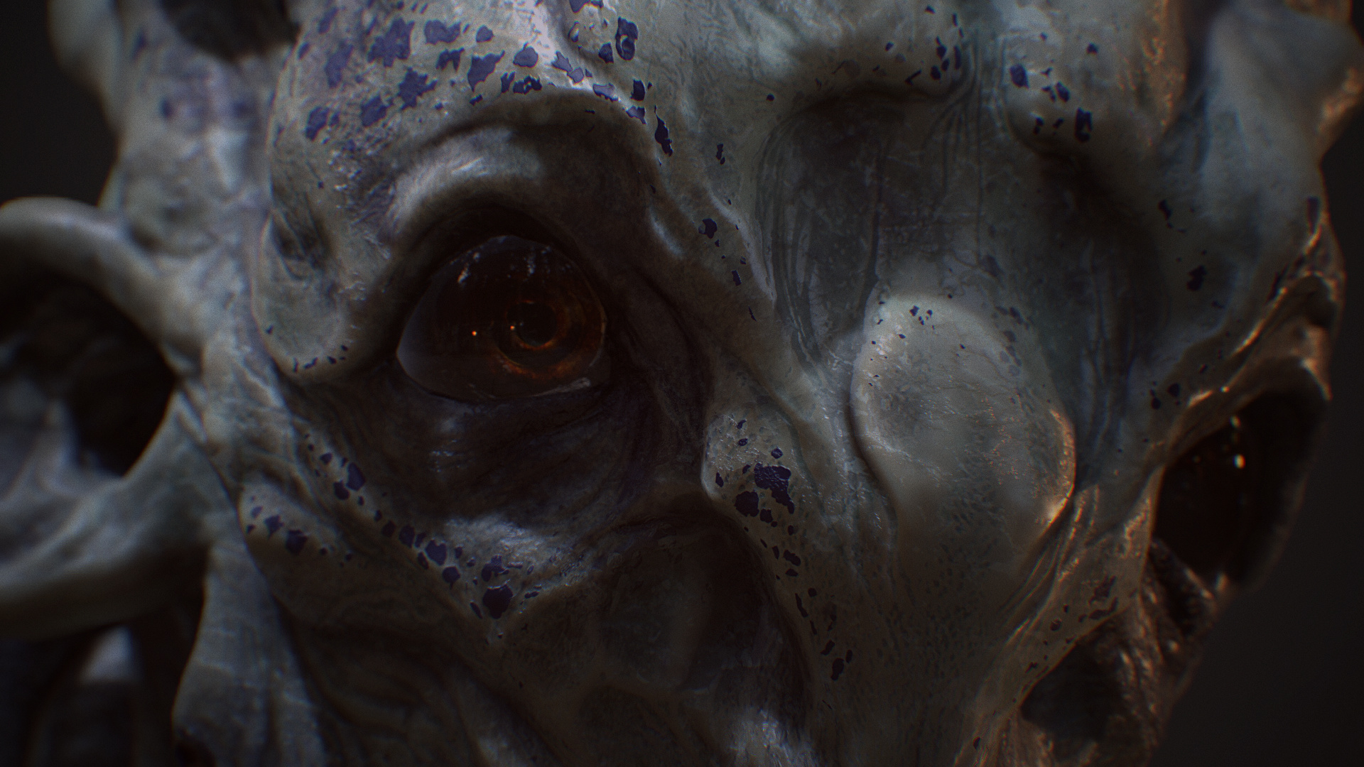 closeup01