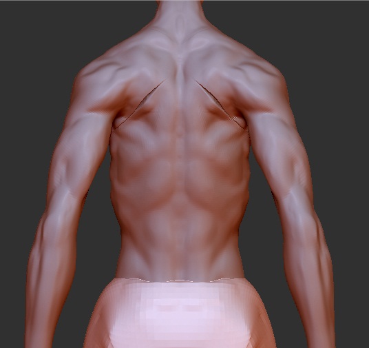 back.jpg