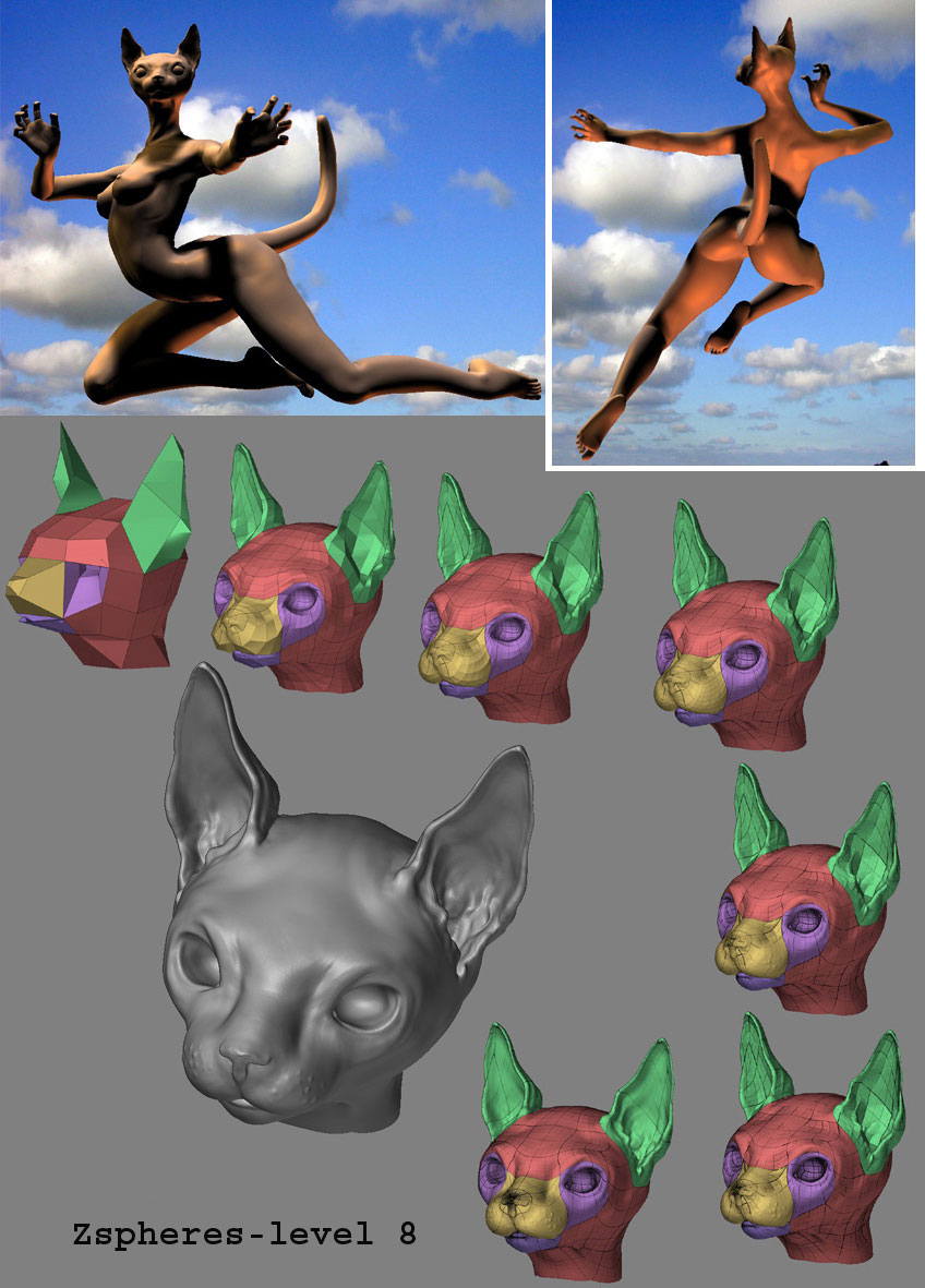 cat2.jpg