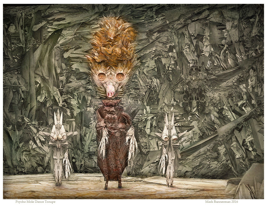 psycho-Mole-dance-troupe_zbc.jpg