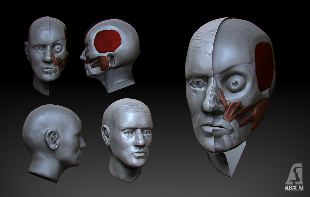 face_study_small.jpg