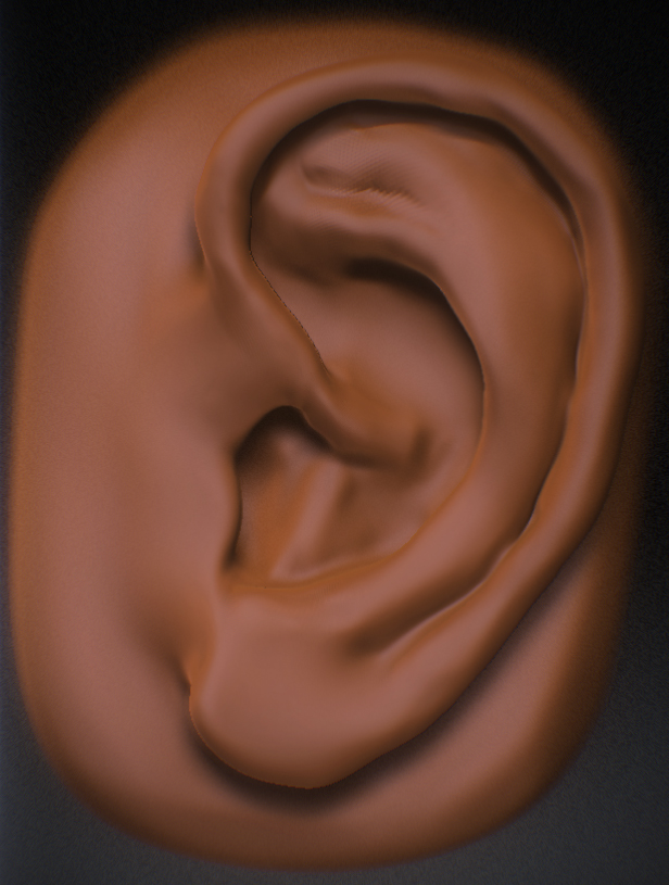 ear.jpg