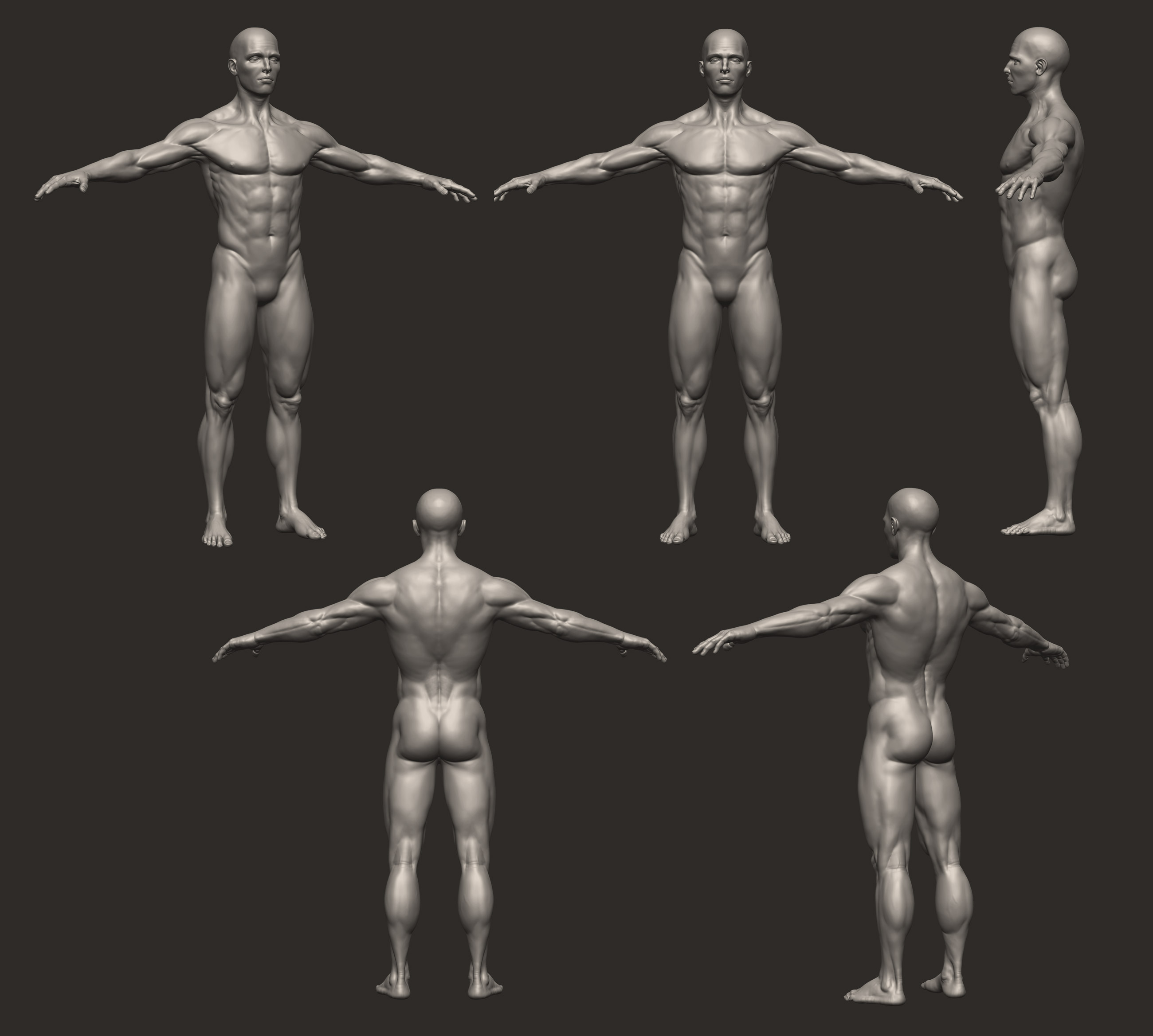 male_anatomystudy_web.jpg