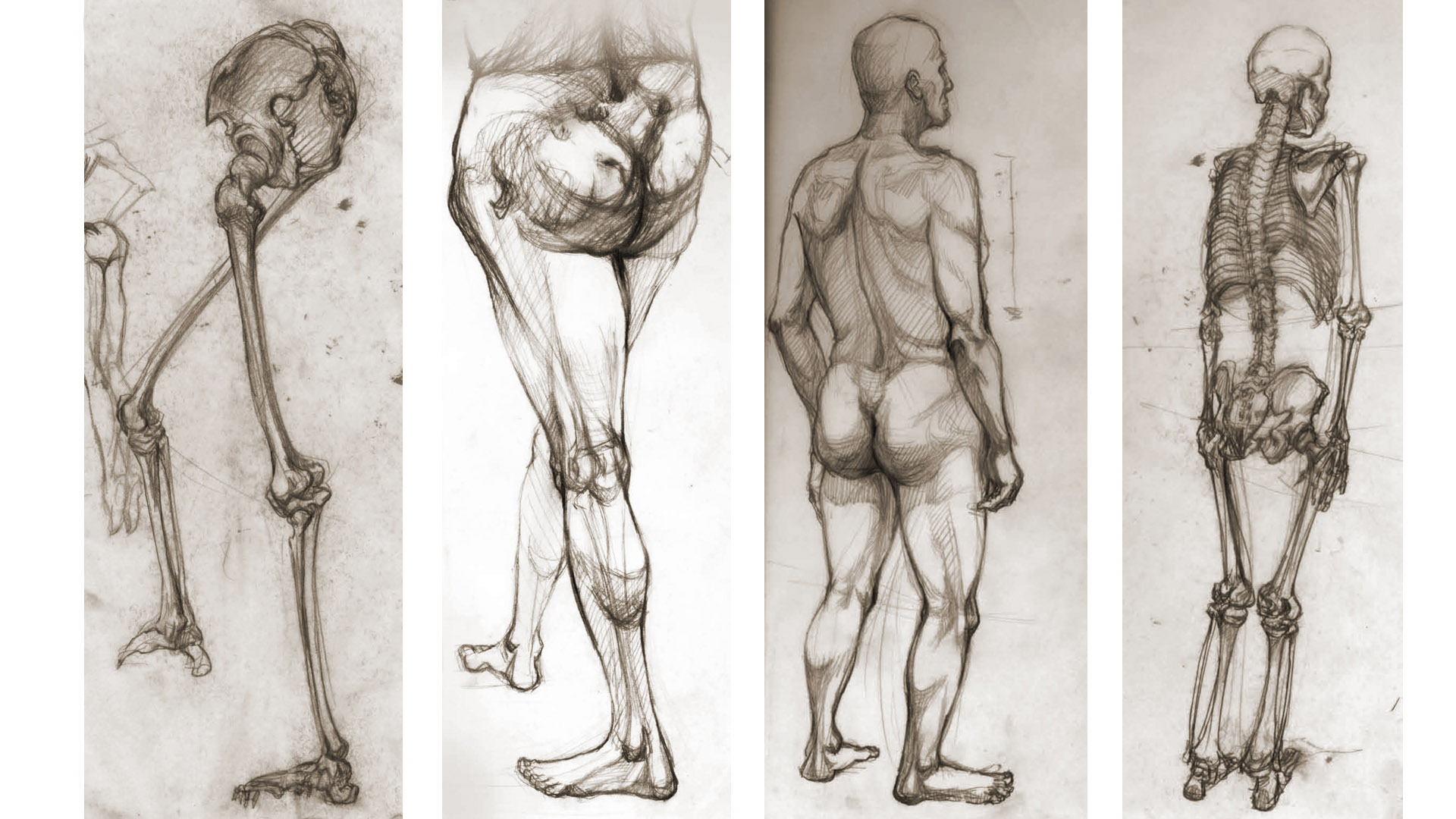 life drawing 013.jpg