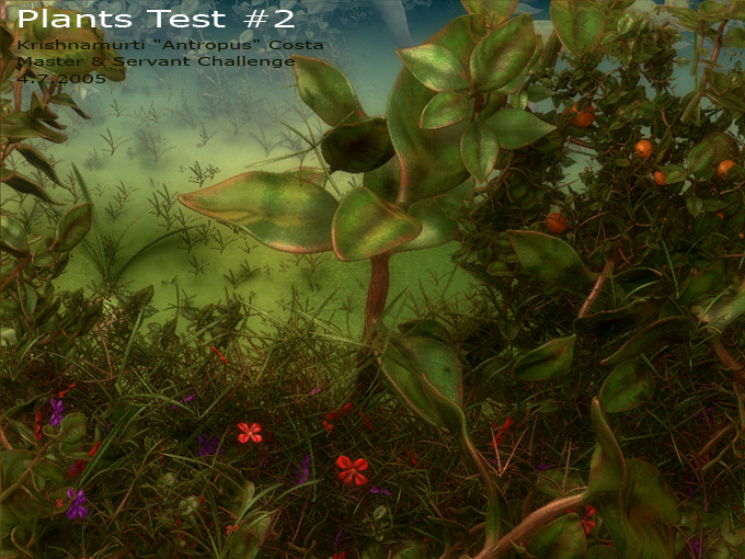 plants002.jpg