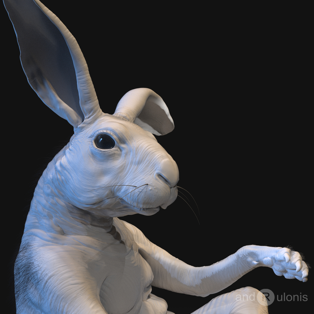 07_Bunny_Buddy.jpg