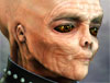 Thumb3.jpg