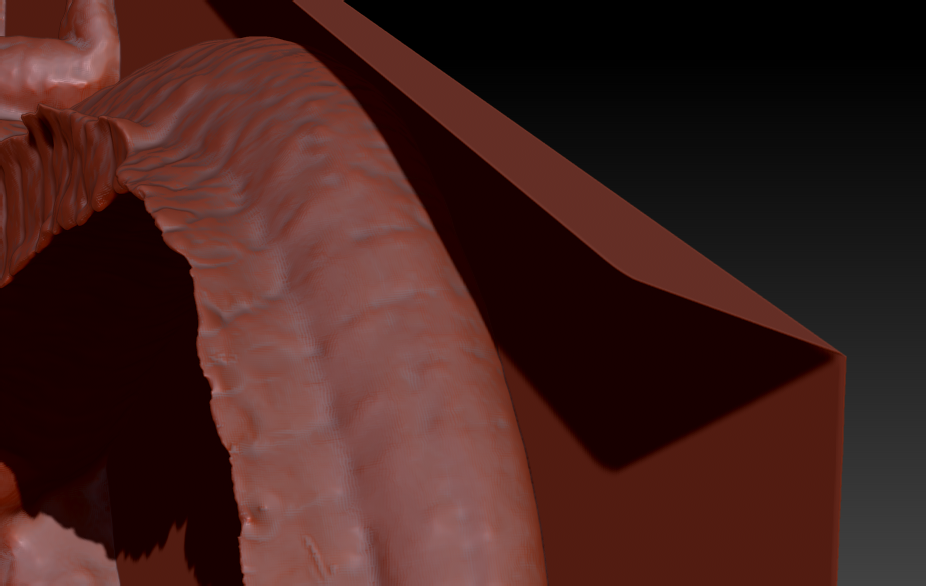 gator-plane2.png
