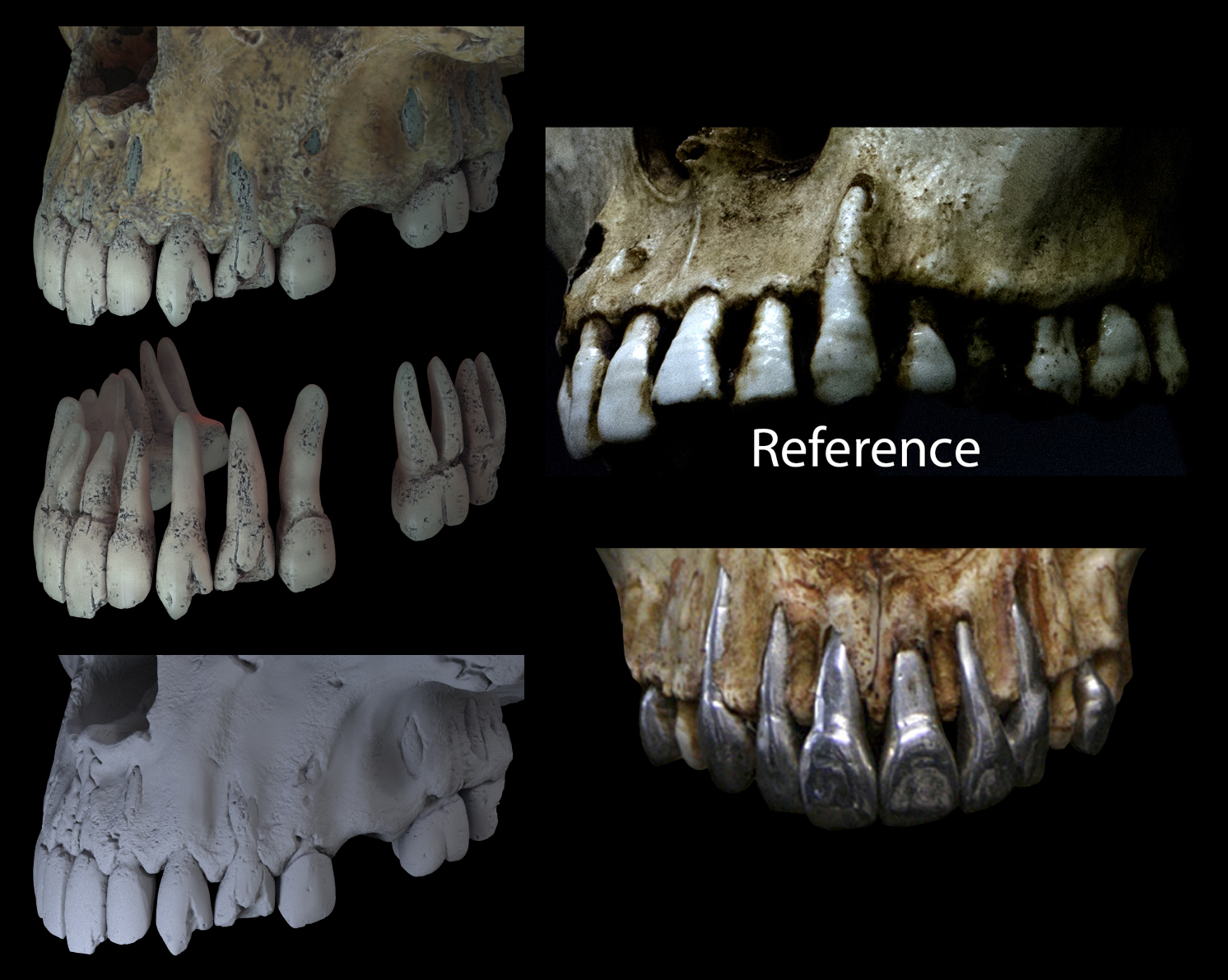 Teeth_Compilation_v02.jpg