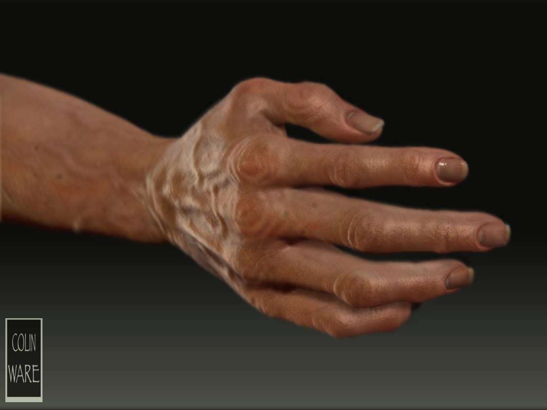 hand close up.jpg