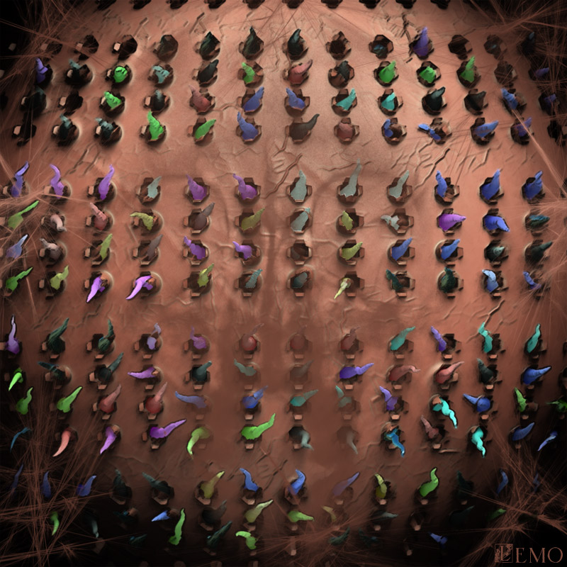 hatchlings.jpg