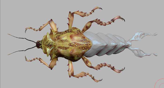safariBug01.jpg