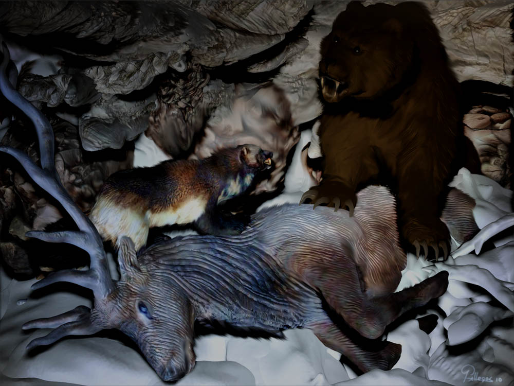 ELK FUR 55.jpg