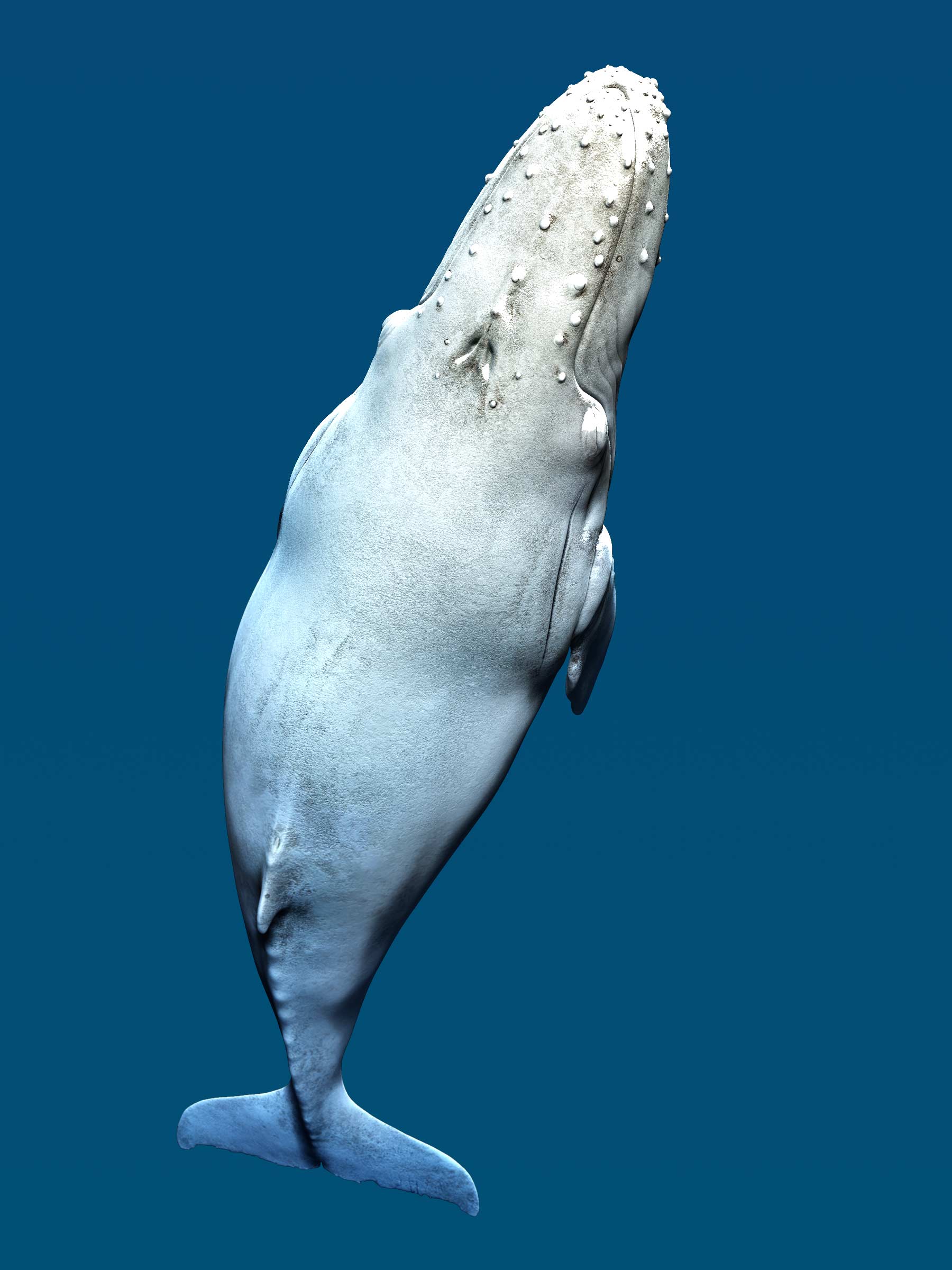 Untitled-2.jpg