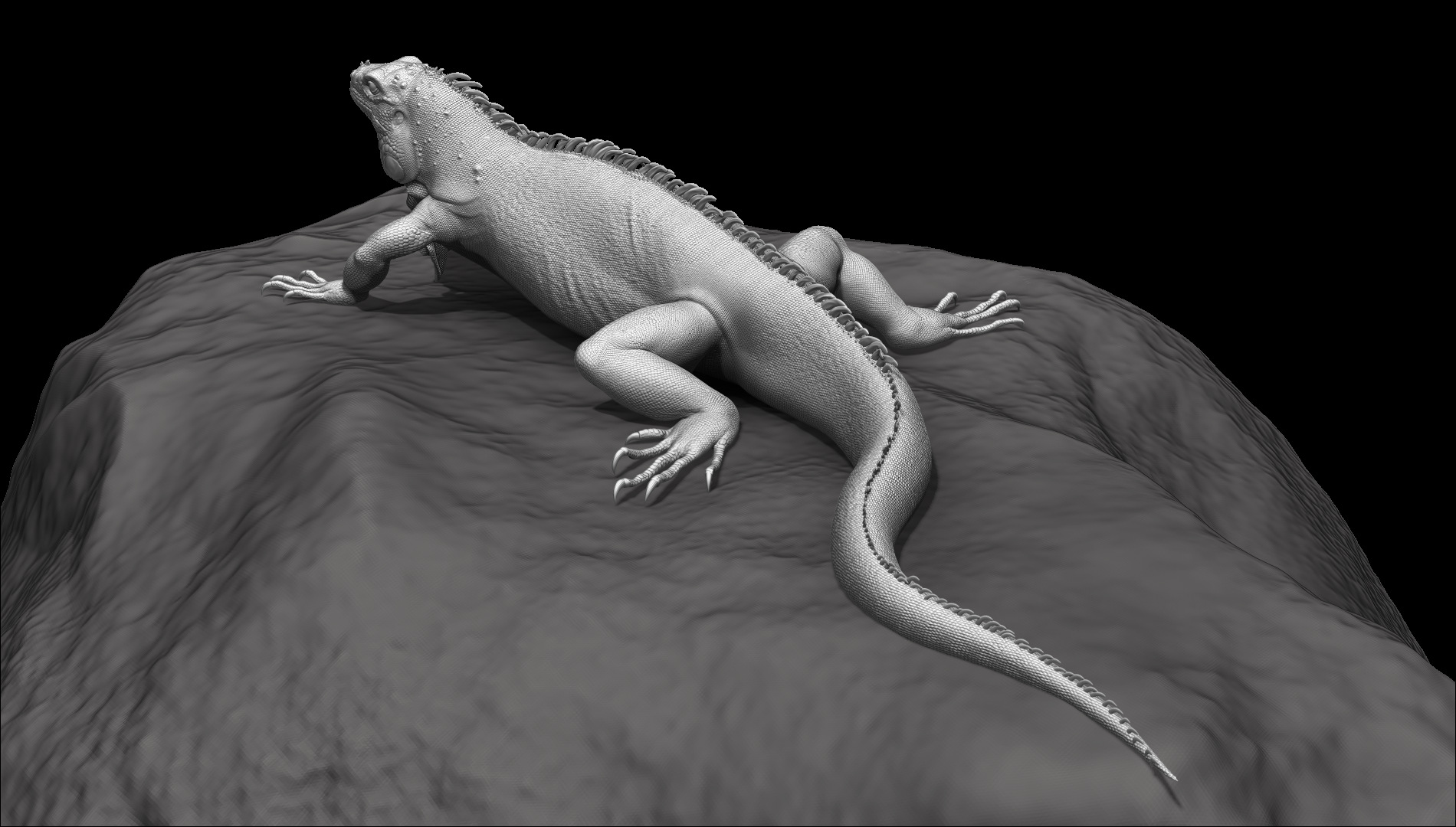 Iguana_003.jpg