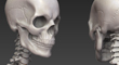 skeletonthumb.jpg