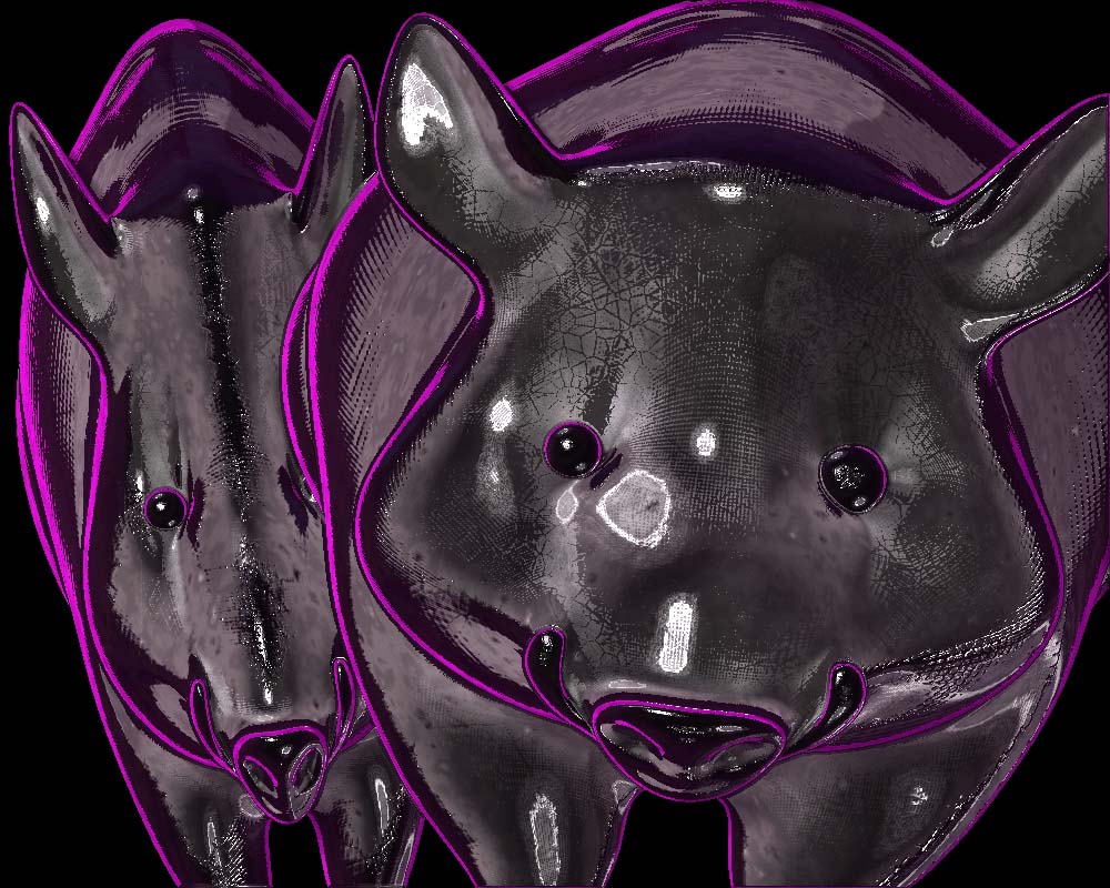 pig1 copy.jpg