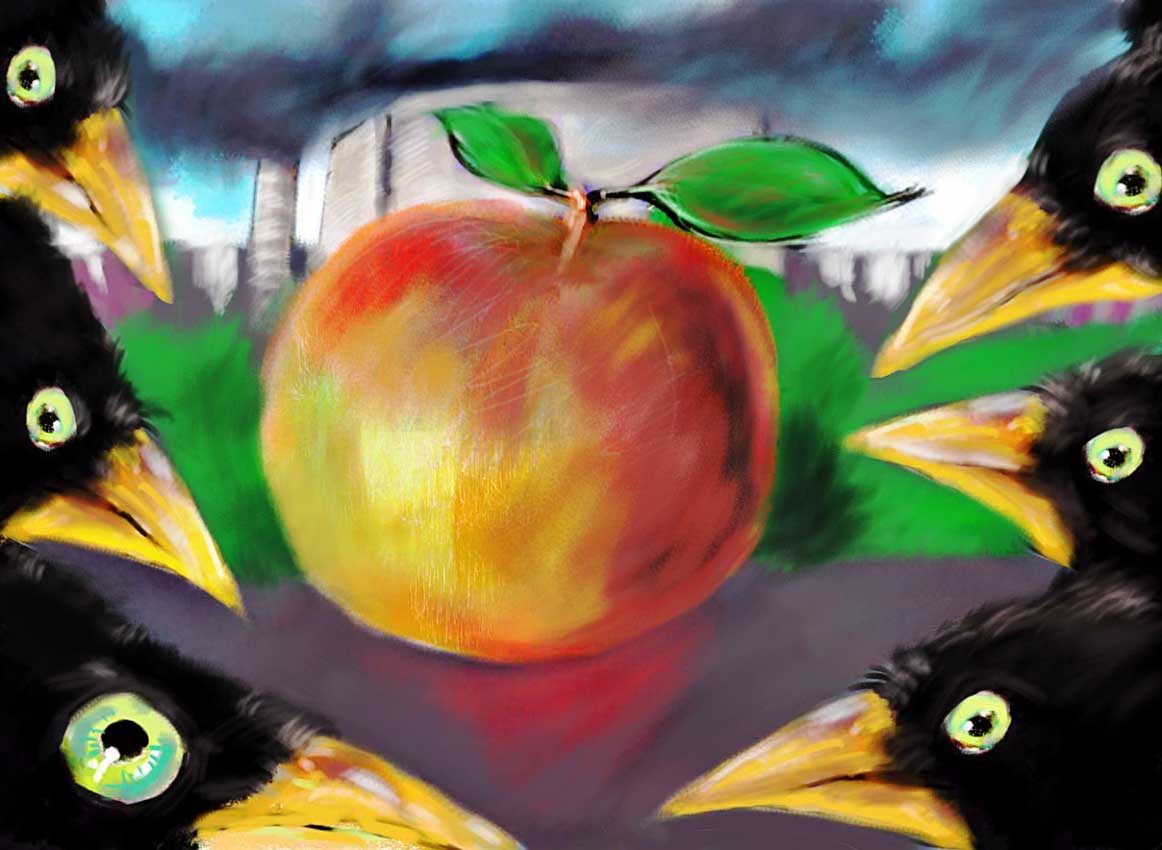 apple-of-my-eye.jpg