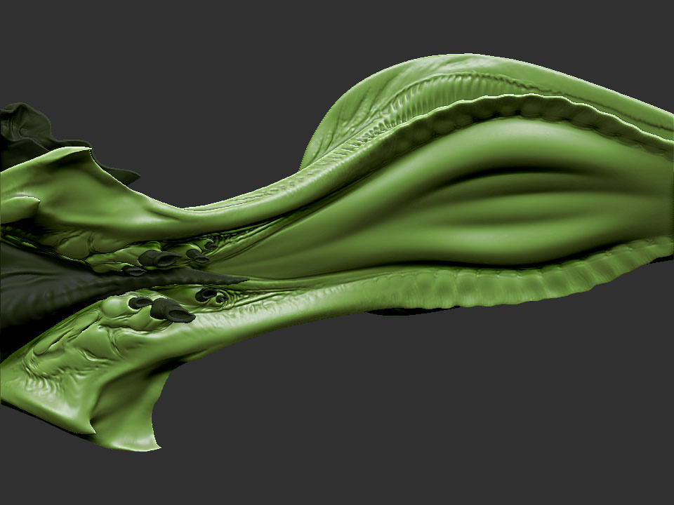 Body_02.jpg