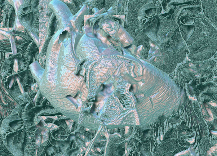 anatomic4a.jpg