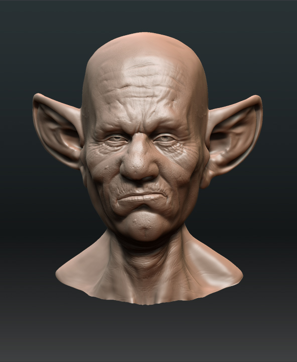 b_ear_04_01.jpg