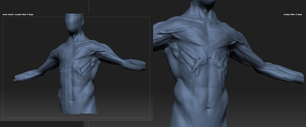 beesub_WIP_sA.jpg