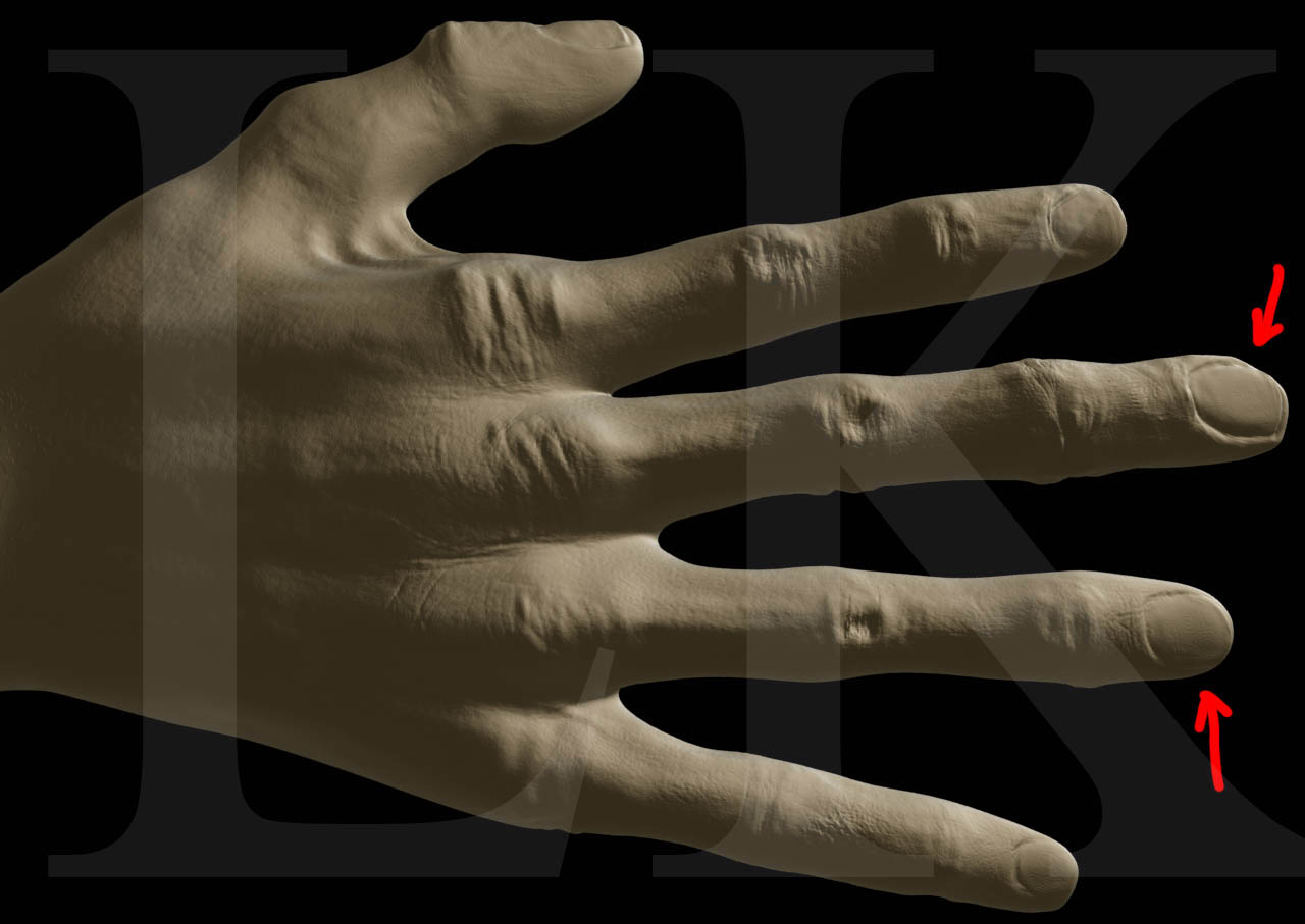 hand.jpg