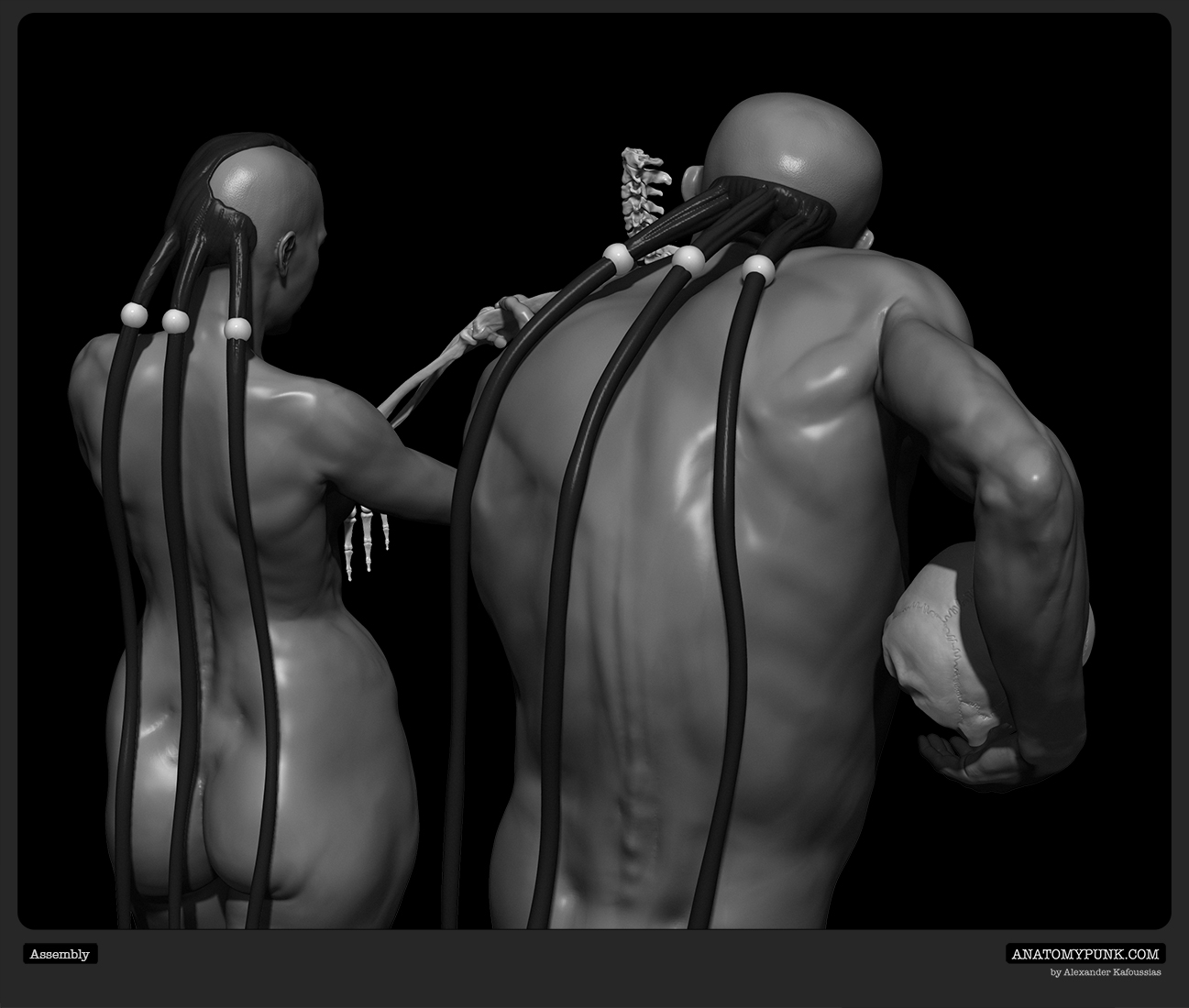 Assembly view 5_Anatomypunk.jpeg